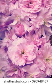 Background of spring pink flowers in a retro style