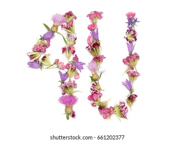 
background to the of St. valentine day 
word 4U isolated on white background
Word for you lined with flower petals
Pink and purple flowers
Flower petals in the pink range
feelings and emotions
for yo