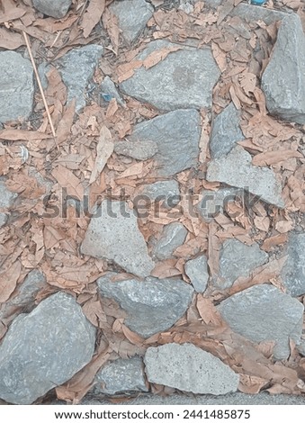 BACKGROUND STONE AND DRY LEAVES 