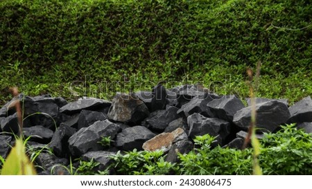 Background of stone with green grass.