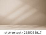 Background studio brown wall with light, grey shadow on 3d podium.Autumn backdrop texture product display with copy space.Color beige empty wall room with white light on desk.Minimal design for Fall 