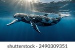 background, swim, sea, whale, water, blue, ocean, animal