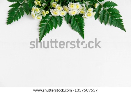 Similar – Flower frame on white background