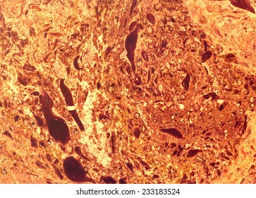 background texture