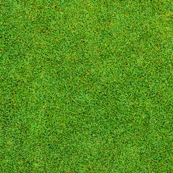 Grass background featuring grass, background, and green | Nature Stock ...