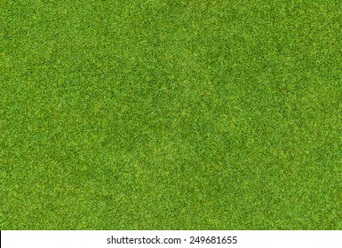 Background And Texture Of Beautiful Green Grass Pattern From Golf Course