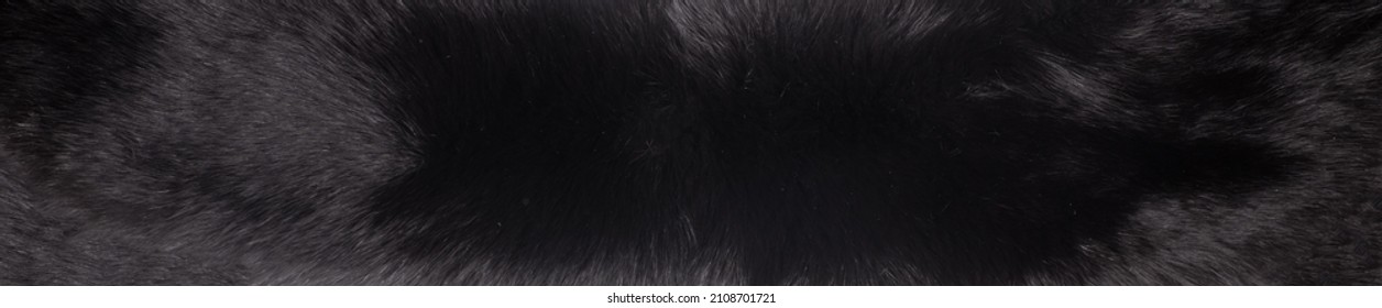 Background And Texture Of Black Mink Fur