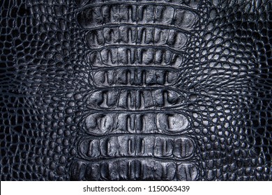 Background texture blue reptile skin