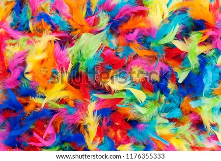 background texture of bright colorful feathers in rainbow colors