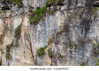 Background, Texture - Cliff Surface, Sheer Rock Wall In Mountain Plants