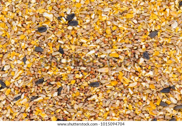 Background Texture Crushed Seed Grain Mix Stock Photo 1015094704 ...