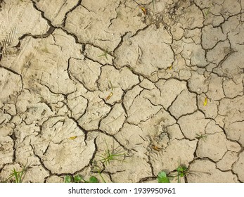 Background and texture of desiccation cracks in sludge