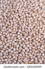 Background Texture Of Dried Chickpeas