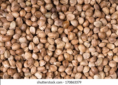 A background texture of dried hemp seeds