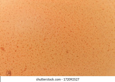 A Background Texture Of An Egg Shell