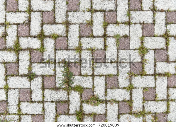 Background Texture Foam Block Floor Grass Stock Photo Edit Now