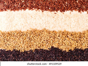 Background Texture Four Types Thai Rice Stock Photo 491109529 ...