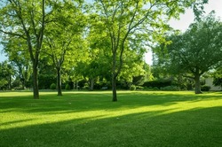 Background Texture Of Fresh Green Lawn Of A Local Public Park With Beautiful Trees In The Soft Morning Sunlight. Horsham Botanic Gardens VIC Australia. Copy Space For Text.