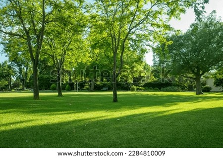 Background texture of fresh green lawn of a local public park with beautiful trees in the soft morning sunlight. Horsham Botanic Gardens VIC Australia. Copy space for text.