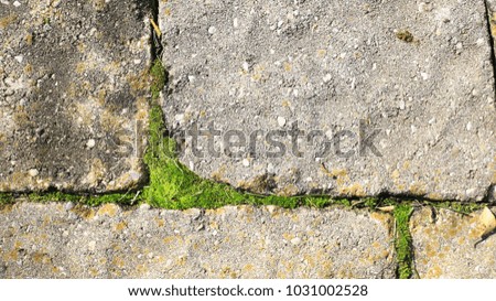 Similar – Image, Stock Photo green ways (1) Pave Furrow