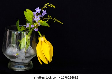 Background Texture Iced ,water In Glass With Purple Flower, Yellow Flowers Ylang Ylang Decoration Postcard Style On Black