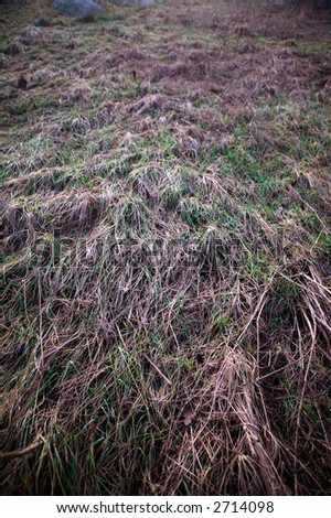 A background texture image of frozen grass lyeing down.  The image has a dark spookey feel