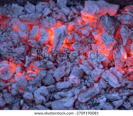 Background texture of infernal coal of gray and red colors close-up.The colors are beautifully combined. Heat and energy production. Dangerous for living organisms.