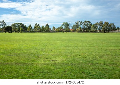 Background texture of a large public local park with green and healthy grass and with some trees and residential houses in the distance. Melbourne, VIC Australia