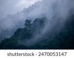 The background texture of mountains in the rainy season and the icy rain fog feels cool and refreshing with the green color of the forest that is cool and pleasing to the eye.