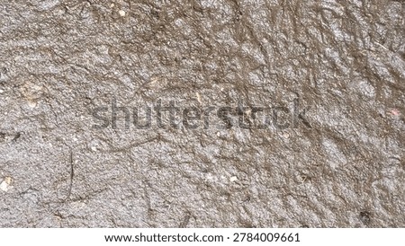 The background texture of the muddy sand surface. Mud in front of the yard during the rainy season. Close-up photo of the mud as if it were a sheet of cardboard that had been exposed to water.