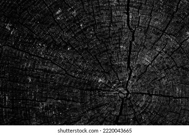 Background Texture Old Tree Rings Log Round