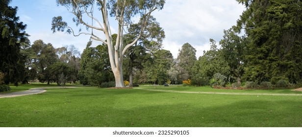 Background texture panoramic view of a vast vacant grass lawn with a variety of trees and footpath in the distance. Panorama of a formal botanical garden with a large outdoor open space. Copy space