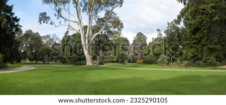Background texture panoramic view of a vast vacant grass lawn with a variety of trees and footpath in the distance. Panorama of a formal botanical garden with a large outdoor open space. Copy space