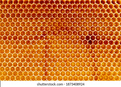 Background texture and pattern of a section of wax honeycomb from a bee hive filled with golden honey in a full frame view - Powered by Shutterstock