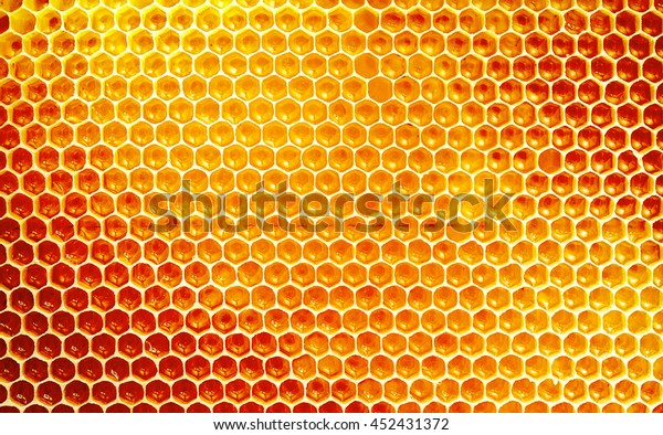 Background\
texture and pattern of a section of wax honeycomb from a bee hive\
filled with golden honey in a full frame\
view
