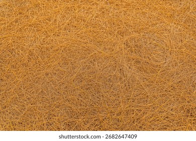 Background and texture of pine needles piled up into a beautiful pattern