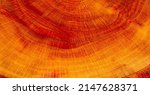 Background texture of plum fruit tree in macro photography. Recognizing fruit on a tree using texture properties and color data