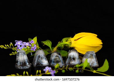 Background Texture Purple Flower ,yellow Flower Ylang Ylang And Iced Water Arrangement Flat Lay Postcard Style On Black