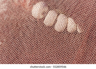 Background And Texture Of Purse Seine Fishing Net With Their Buoys