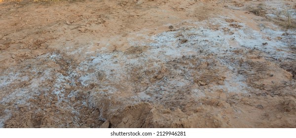 Background And Texture Of Saline Soil