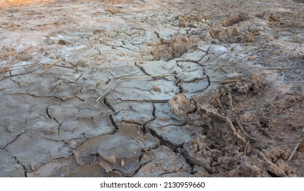 Background And Texture Of Saline Soil