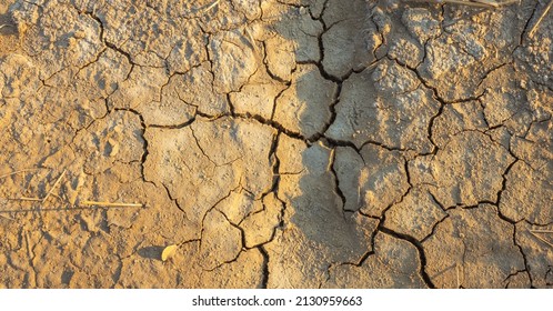 Background And Texture Of Saline Soil