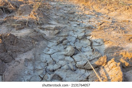 Background And Texture Of Saline Soil