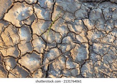 Background And Texture Of Saline Soil