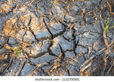 Background And Texture Of Saline Soil