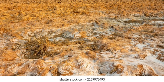 Background And Texture Of Saline Soil