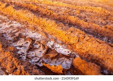 Background And Texture Of Saline Soil