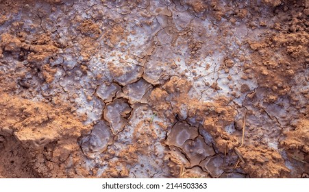 Background And Texture Of Saline Soil