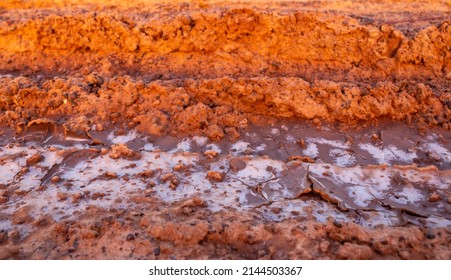 Background And Texture Of Saline Soil