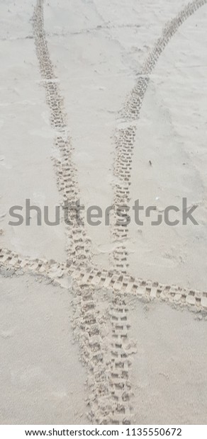 Background and\
texture of sand in baltic sea beach.\
